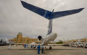 Image result for Warneckea sp.