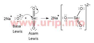 Check spelling or type a new query. Reaksi Asam Basa Lewis Serta Penggolongannya Urip Dot Info