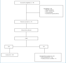 Flow Chart Of Patients Recruitment Gfr Glomerular