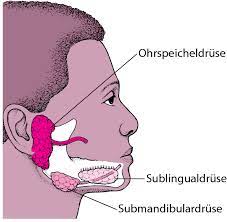 Mumps is an infection caused by a virus. Mumps Virus Gesundheitsprobleme Von Kindern Msd Manual Ausgabe Fur Patienten