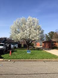 Reviews from denison landscaping employees about pay & benefits Landscape In Denison Tx Texoma Landscapes 903 465 5456