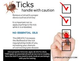 Removing a tick properly helps reduce the chance of it breaking off in your skin. Using Essential Oils To Remove Ticks And Tick Bites Essential Oils For Skin Essential Oils Free Essential Oils