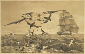 Wanderings of a pilgrim in search of the picturesque, volume 1 | Project Gutenberg