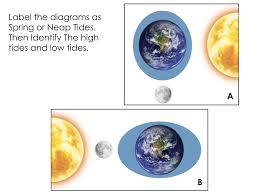 Tides And Tidal Cycle Diagram Quizlet
