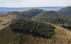 Découvrez sur cette section tous les lotos, les bingos ainsi que les rifles et ducasses pour le département puy de dome (63). Comme Le Stromboli Les Volcans D Auvergne Pourraient Ils Entrer En Eruption Le Parisien