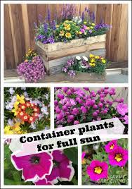 We did not find results for: Container Plants For Full Sun Choices For Colour Foliage And Texture