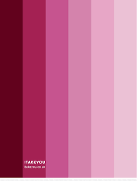 Shades Of Pink Colour Combination