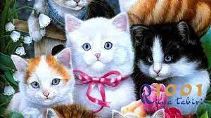 ruyada kedi gormek yavru kedi sevmek siyah ve beyaz kedi 1001ruyatabiri com