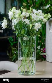 Image result for eustoma lisianthus in vase