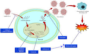 Myasthenia gravis is an autoimmune disease marked by muscle weakness and fatigue that worsens during activity and improves with rest. Https Www Scienceopen Com Document File 80dde8b7 0689 4032 9415 A17d5923683d Pubmedcentral 80dde8b7 0689 4032 9415 A17d5923683d Pdf