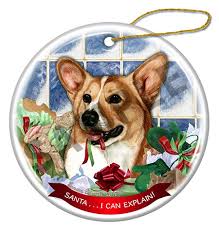 Maybe you would like to learn more about one of these? Raining Cats And Dogs Pembroke Welsh Corgi Santa I Can Explain Dog Ornament