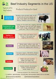 Ag 101 Facebook Agriculture Education Cattle Farming Animal Science