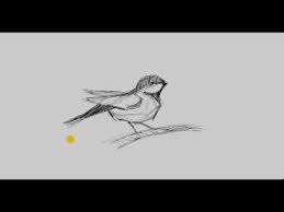 تعليم رسم رسم عصفور mr fine artist تعليم الرسم youtube humanoid sketch art