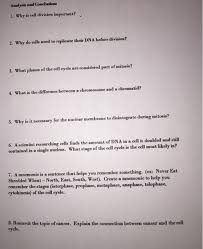 Cell division gizmo answer key. Solved Why Is Cell Division Important Why Do Cells Need Chegg Com