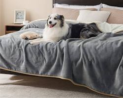dog blankets in different sizesの画像