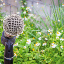 As winter turns to spring, it is time to showcase what has been growing in  the garden of the Flatiron Writers Room's Storytelling for Performance  course, taught by series host Tom Chalmers.