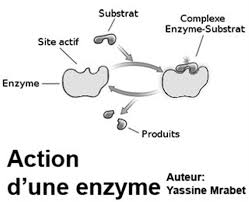 Maybe you would like to learn more about one of these? Gamma Gt Examen Docteurclic Com