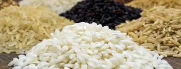 4 best basmati rice brands of march 2021. Types Of Rice Arborio Basmati Bomba And More Berkeley Wellness