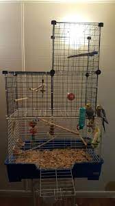 Diy Bird Cage Extension Diy Bird Cage Diy Birds Bird Cage