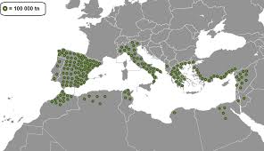 Olive Wikiwand