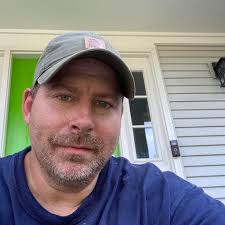 What are some recommendations for urgent tree removal services in Webster  NY?