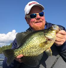 Or drink beer and eat crab. How To Catch A Limit Of Crappies 5 Tactics From The Pros
