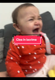 Risposta divertente a Dony su TikTok