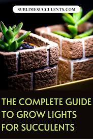 Best indoor grow lights for succulents. Pin On Succulent Guides