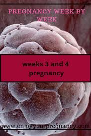 Pin On Pregnancy