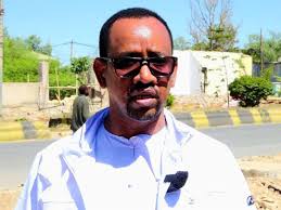 Dalladda xisbiyada siyaasada dalka iyo masuuliyiin heer deegaan ah ayaa soo  kormeeray mashaariicaha horumarineed iyo maalgashiga ee ka socda magaalada  Jigjiga. Masuuliyiin ay hogaaminayaan Wasiirka Xafiiska Maalgashiga iyo  Warshadaha DDS, Duqa maamulka