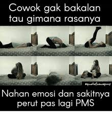Gambar Kata2 Pms Cowok Gak Bakalan Tau Gimana Rasanya Quotofcewepms Nahan Dismenore Instagram Posts Photos And Videos Instagiz Di 2020 Sakit Perut Buku Remaja Meme