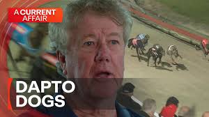 Darwin Greyhound Racing