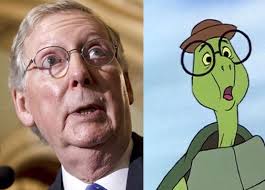 #mcconnelling w/ mitch mcconnell, cecil turtle and jon stewart. Mitch Mcconnell Looks Like A Turtle Meme 03 Comics And Memes