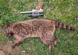 Anyone hunt tri county public land? If so where is the best spot to have  some luck