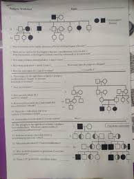 How many males are there? Pedigree Worksheet Name Huntington S Disease 1 Chegg Com