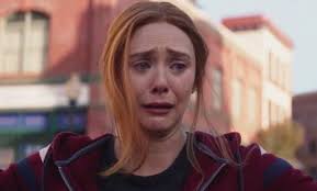 Hardworking PitBull Moms taking care of responsibilities