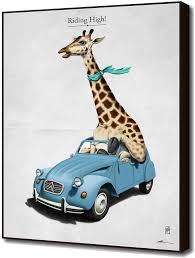 Curioos Riding High By Rob Art Illustration Giraffe Animal Illustration Canvas Prints