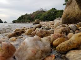 Growing roots - We officially have land for the eco-lodge! |