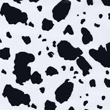 Download this background for multiple phone models including iphone 5 through x. 48 Brown Cow Print Wallpaper On Wallpapersafari
