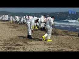 En un an, le prix du diesel à la pompe a progressé d'environ 23% contre. Boulettes De Petrole Sur Le Littoral Varois L Operation Nettoyage Debute Ce Jeudi Matin Var Matin