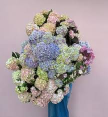 Flower Bowl Geelong En Instagram The Hydrangea Obsession Is Very Real But Wow Look At Her Www Flowerbowl Com Au Hydr In 2020 Flower Bowl Floral Wreath Flowers