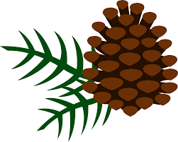 Pine Cone And Pine Needles Free Clip Art Pine Cone Art Tree Graphic Blossom Tree Tattoo