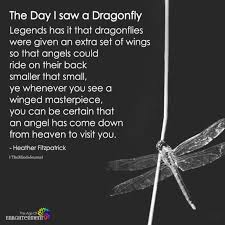 Signs And Forming Romantic Relationships Dragonfly Quotes Dragonfly Dragonfly Images