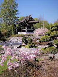 Beautiful Japanese Garden In Dusseldorf Dusseldorf Japanesegarden Parks Sightseeing Area Activities Dusseldorf Japanese Temple