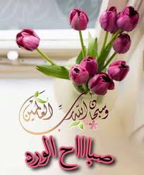 pin by ويبقى الأمل مادامت الحياة on صباح الخير good morning good morning wallpaper good morning picture good morning greetings