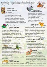 Justanswer.com has been visited by 100k+ users in the past month 44 Pet Infographic Ideas Animal Infographic Veterinary Hospital Veterinary