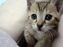 Richard Marx Sorry Seems To Be The Hardest Word Kenny G Mix The Moment Sentimental Titanic Forever In Love Official Youtube Kenny G Endless Love Best Saxophone