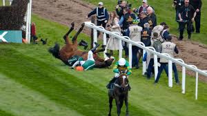 Grand National to reduce number of horses to 34 and soften fences in bid to  make famous race safer | NEWS10 ABC