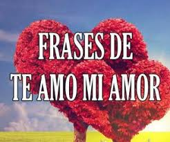 Search, discover and share your favorite te amo mi amor gifs. Te Amo Mi Amor Frases Para Decir Te Quiero Mucho