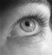 Maybe you would like to learn more about one of these? Eyes Wide Open The Detailed Pencil Drawings Of Flavio Apel Scene360